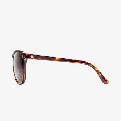 Eye wear ENCELIA/TORT SHELL - BRONZE